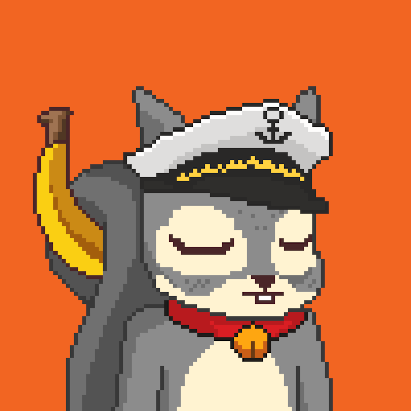 Pixel Squirrels #5936